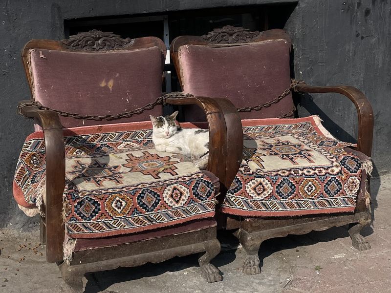 Eine Katze schläft in Balat auf einem von zwei alten Sesseln mit Kelim-Kissen vor einem Laden