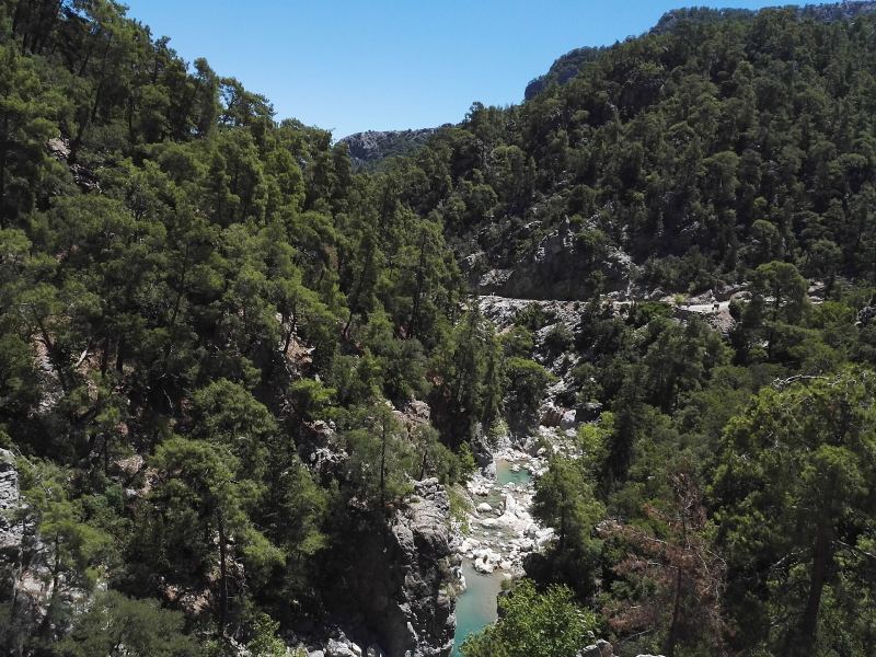 Der türkisfarbene Bach im Göynük-Canyon zwischen kiefernbewachsenen Hängen
