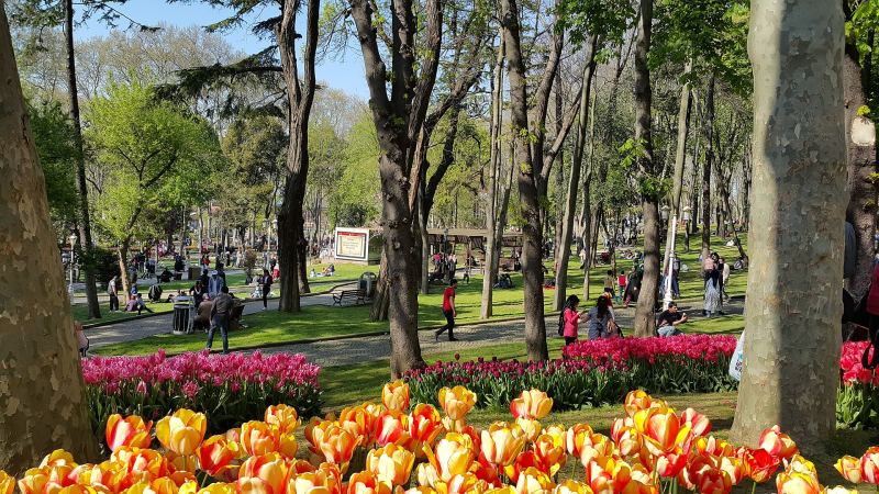 Аллеи в парке Гюльхане