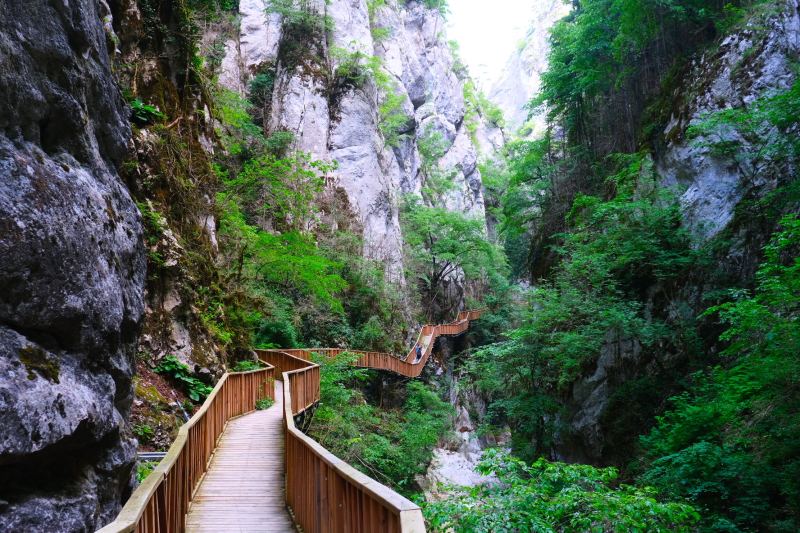 Der Holzsteg durch den Horma-Canyon