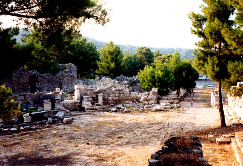 The colonnaded street of Phaselis among pine trees