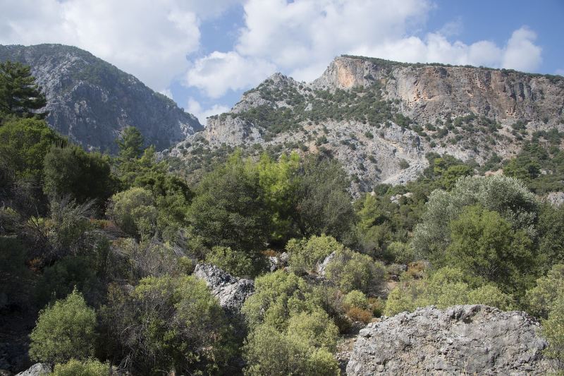 The great cliff of Pınara pitted with rock-cut tombs, above green scrub and pines
